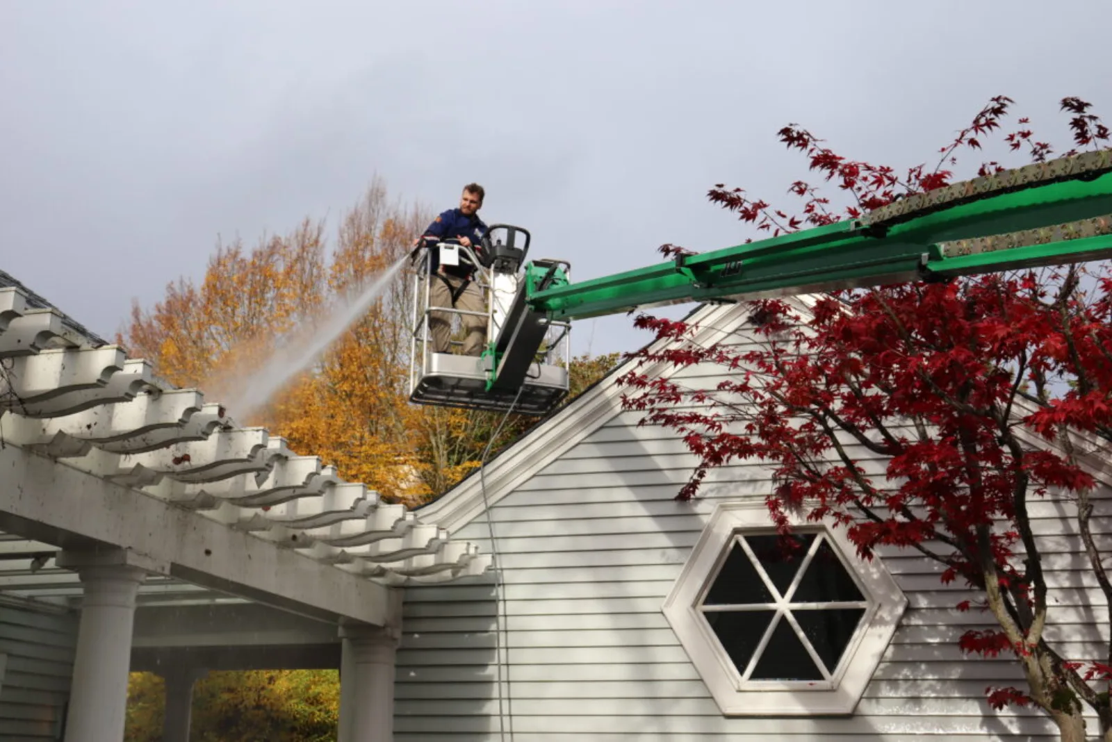 Roof Treatment
