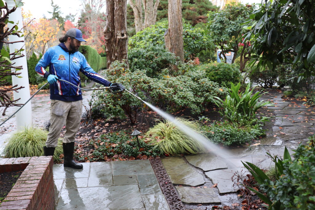 Paver Sealing